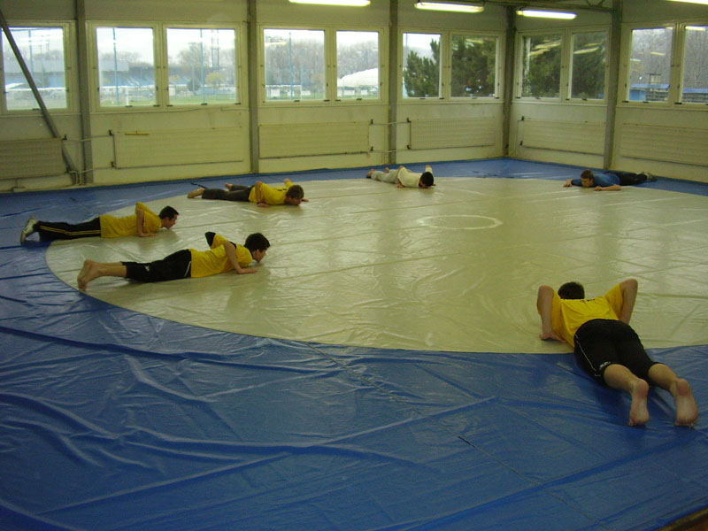 PB050008.JPG